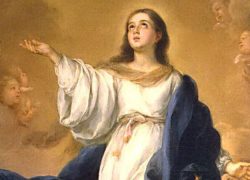 Acerca del día de la Inmaculada Concepción