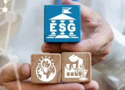 Inversiones en instrumentos ESG: Aporte a la sostenibilidad desde el mercado de capitales