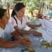 Cocinas Saludables en las Viviendas de los Caseríos Huaca de Piedra y Culpón Alto en Íllimo