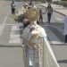 Homilía de Mons. Robert Prevost Martínez por la Fiesta de Corpus Christi 2020 – Catedral de Chiclayo