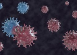 Las mutaciones del coronavirus y sus implicancias